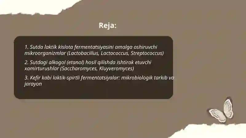 Mikroorganizmlar yordamida sut kislotali spirtli bijg'ish jarayonlari 2