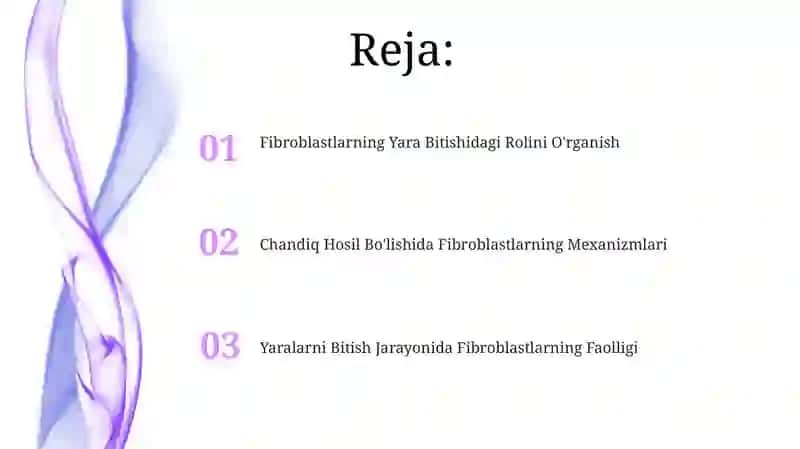 Fibroblastlarning jarohatning bitishi va chandiq hosil boʻlishidagi roli 2