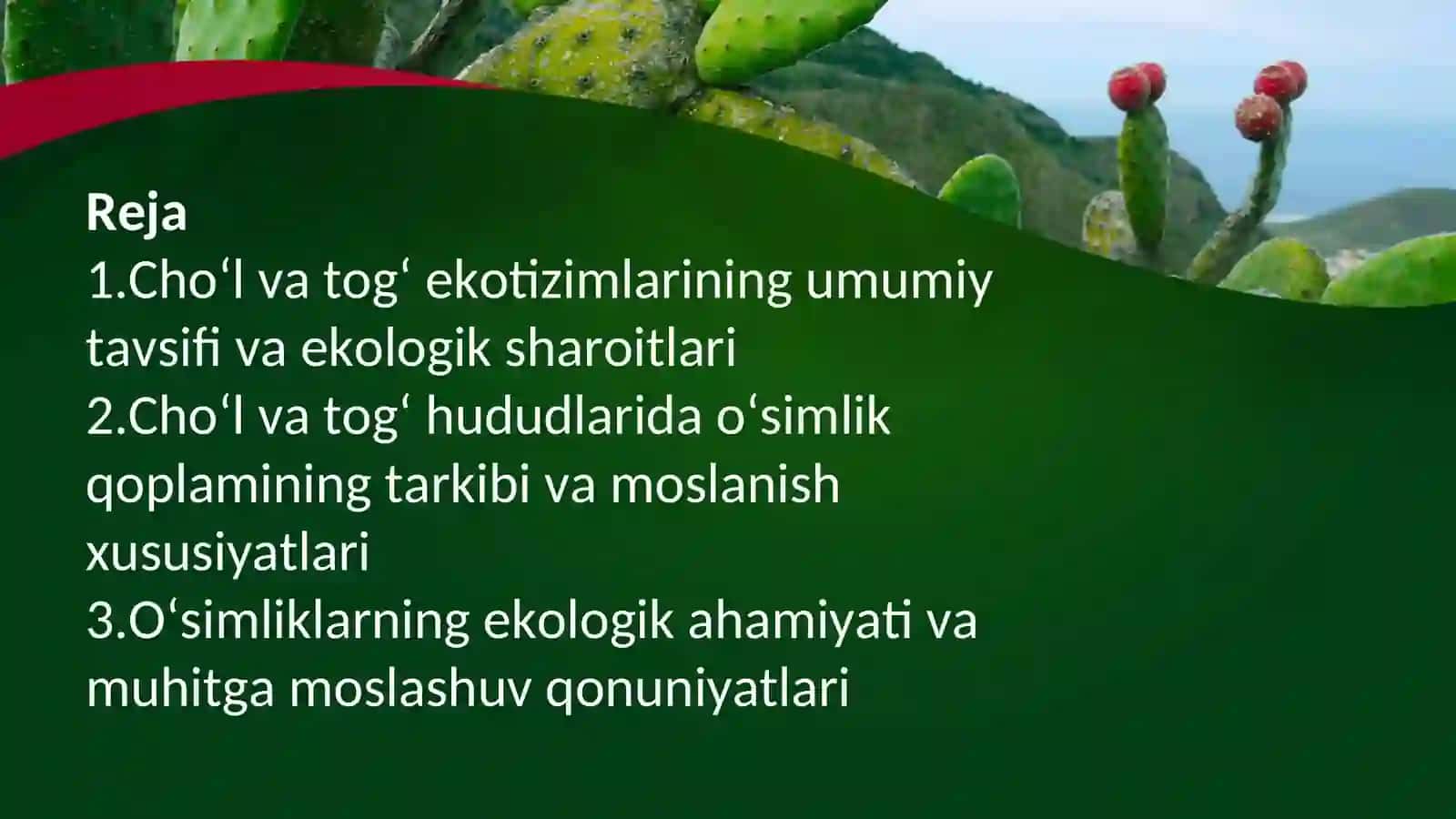 Cho‘l va tog‘ ekotizimlari haqida umumiy tushuncha va ularning o‘simlik qoplami xususiyatlari 2