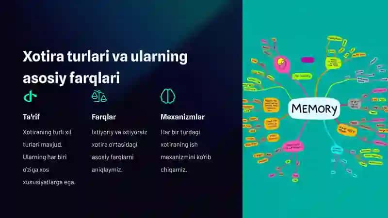 Ixtiyoriy va ixtiyorsiz xotira: inson miyasining ajoyib qobiliyati 2