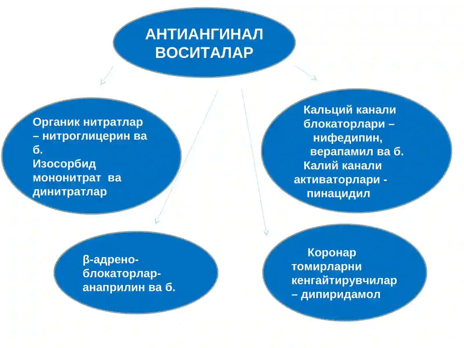 АНТИАНГИНАЛ ДОРИ ВОСИТАЛАРИ 2