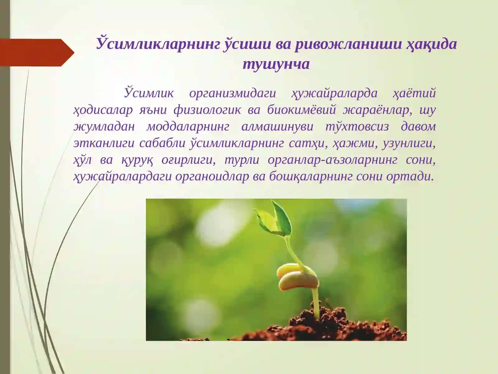 Ўсимликшуносликда стимуляторларни қўллашнинг биотехнологик асослари 2