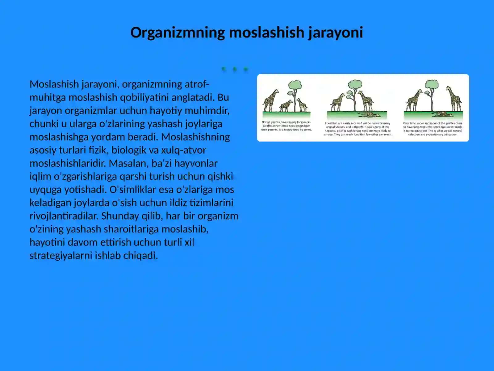 Organizmning moslashishi va uning bosqichlari 2