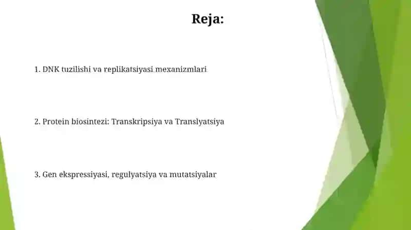 DNK strukturasi va replikatsiyasi. Oqsil biosintezi 2