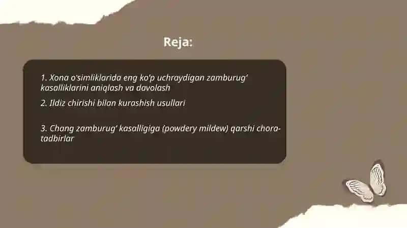 Xona oʻsimliklarida uchraydigan kasalliklarga qarshi kurashish 2