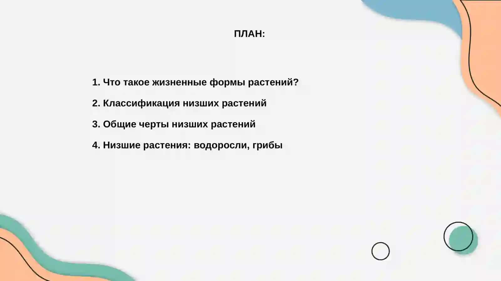 Жизненные формы растений. Низшие растения. Высшие растения 2