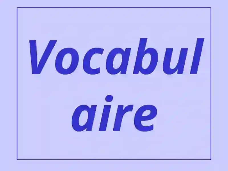 L'environnement et la pollution 2