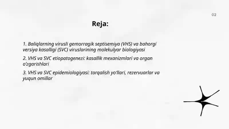 Baliqlarning virusli gemorragik septesemiya va barglarning bahorgi versiya kasalligi 2