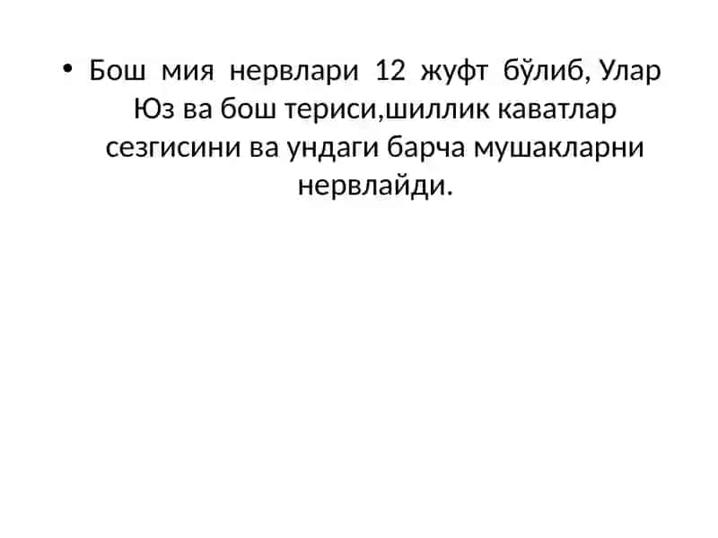 Бош Мия Нервлари Тузилиши 2