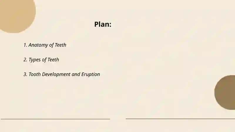 Teeth and its funktions 2