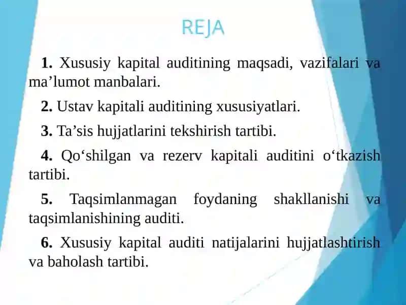 Xususiykapital Audit 2