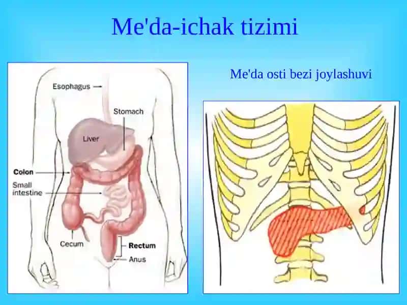 Me'da osti bezi kasalliklari 2