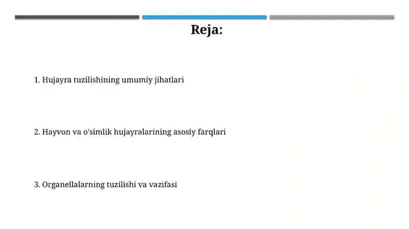 Hayvon va o'simlik hujayralarining o'xshashligi va farqi 2