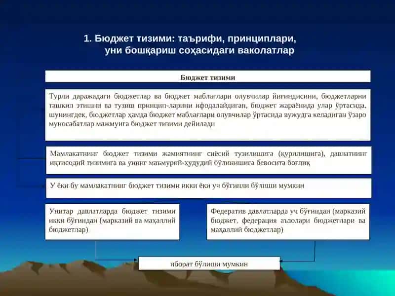 Бюджет тизими 2
