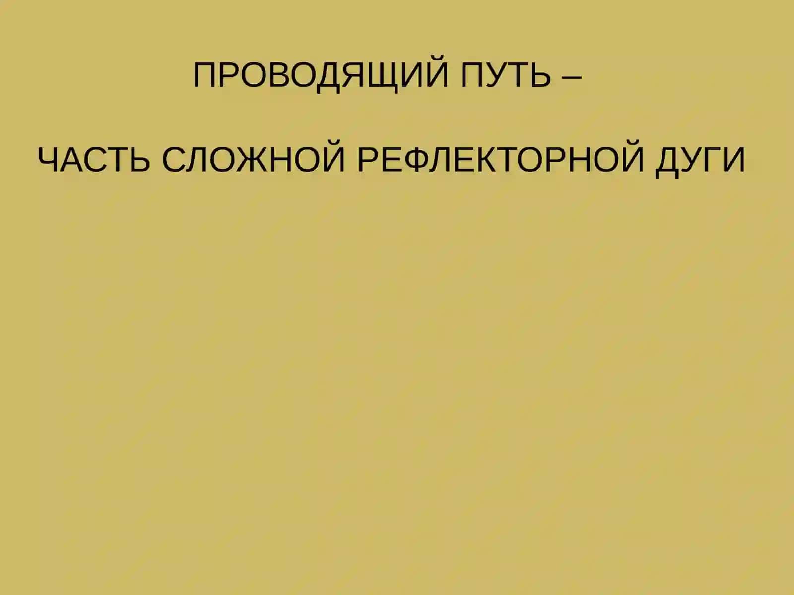 ПРОВОДЯЩИЕ ПУТИ ГОЛОВНОГО И СПИННОГО МОЗГА 2