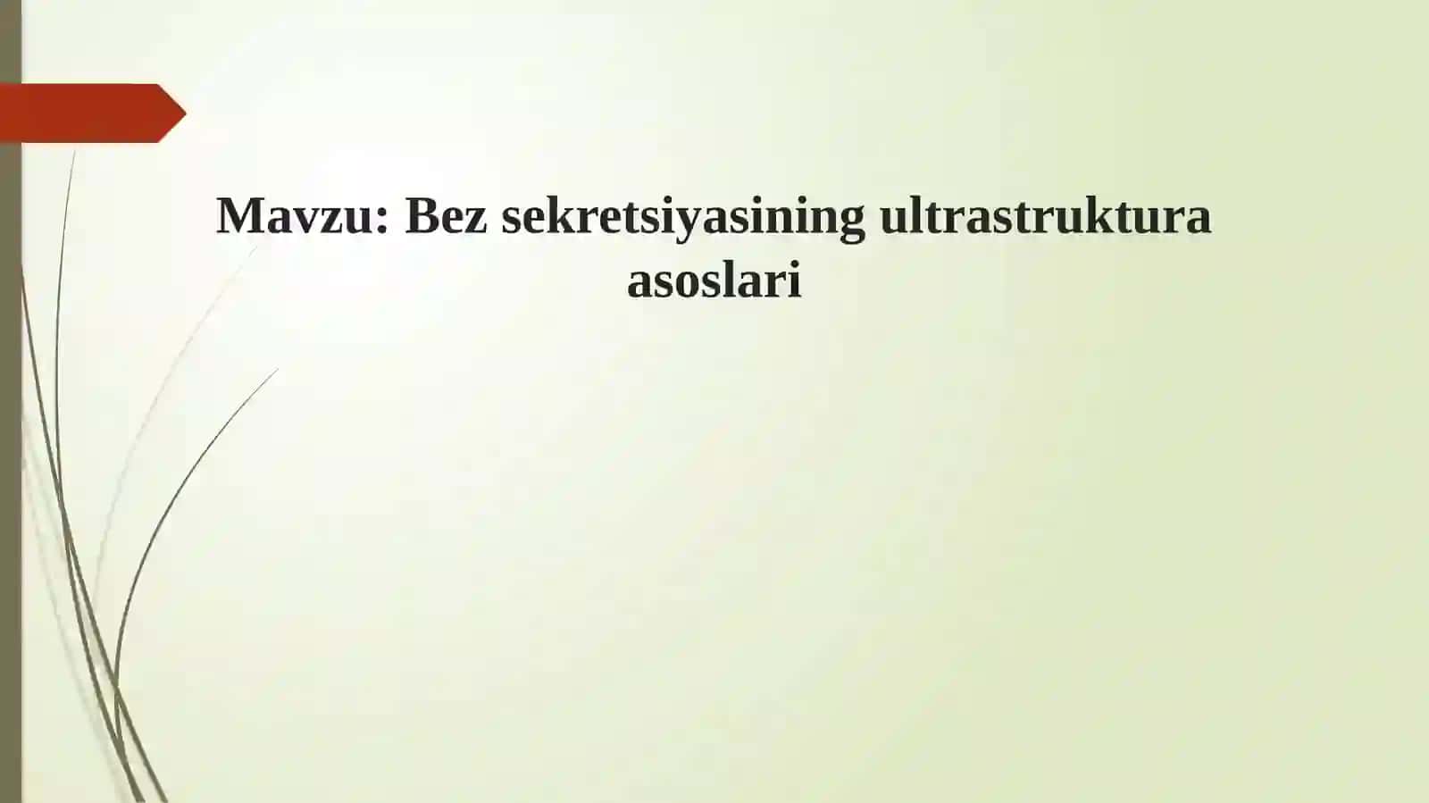 Bezsekretsiyasi ning ultrastruktura asoslari 2
