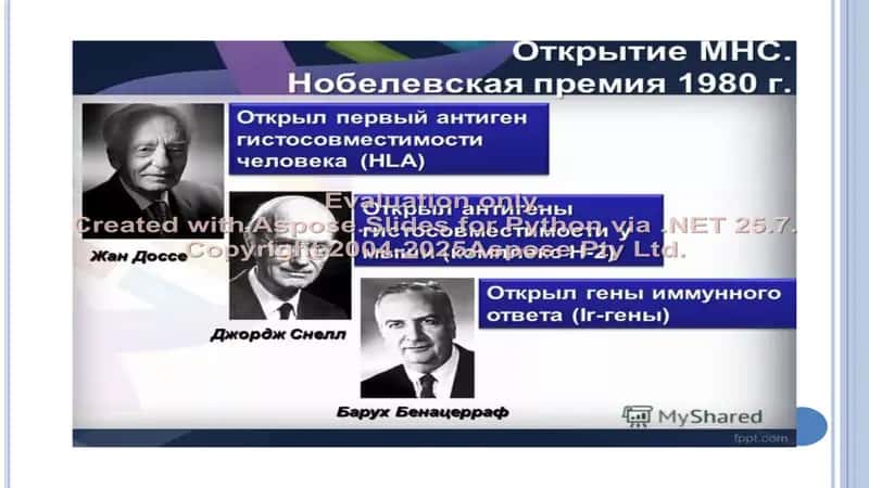 - Teglar (vergul bilan): 2
