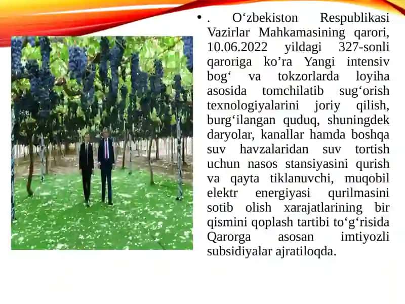 Uzumchilik va sharobchilikni dunyo bo`yicha hozirgi ahvoli, tarixi va rivojlanish istiqbollari 2