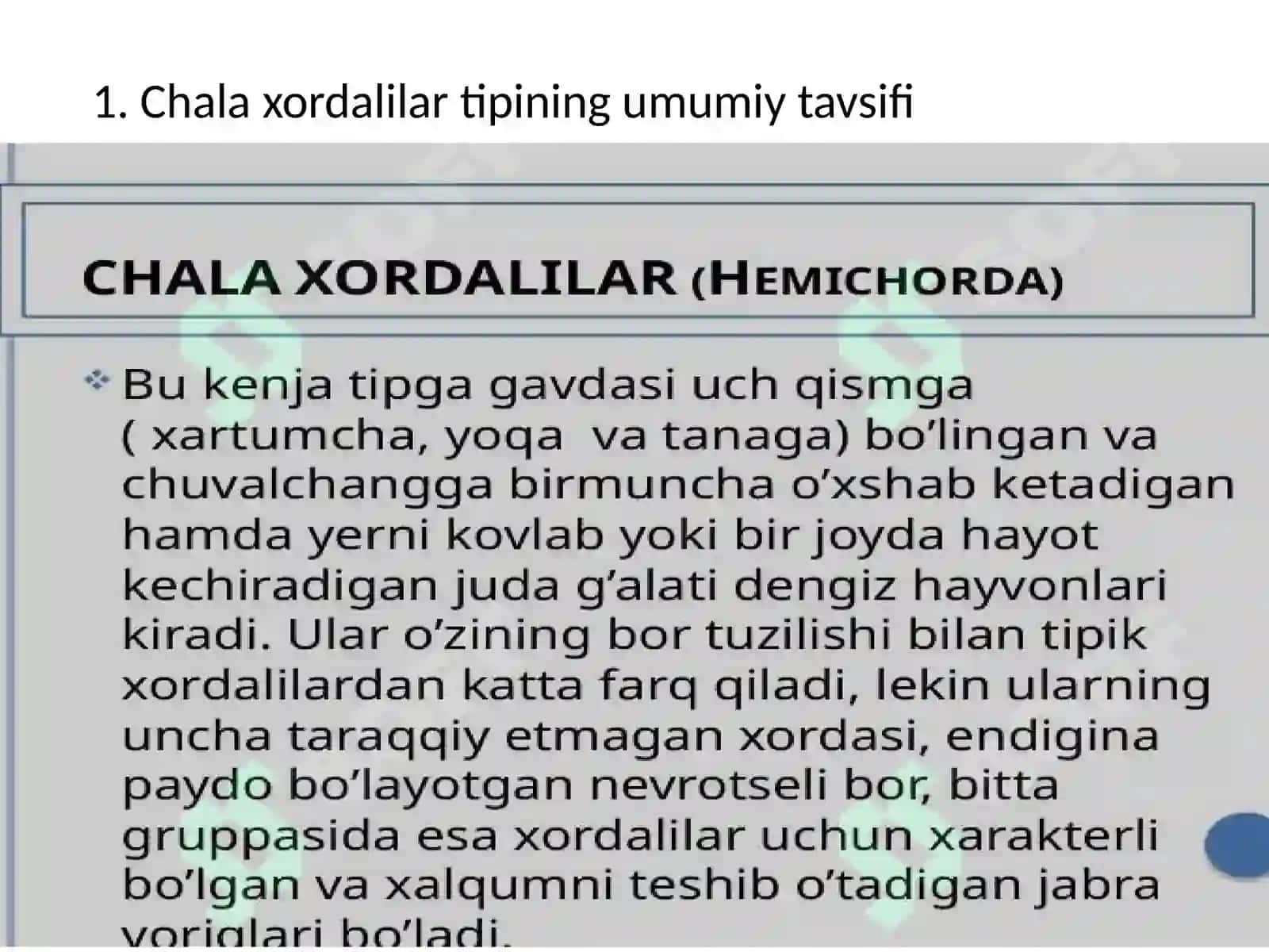 Chala xordalilar tipi 2