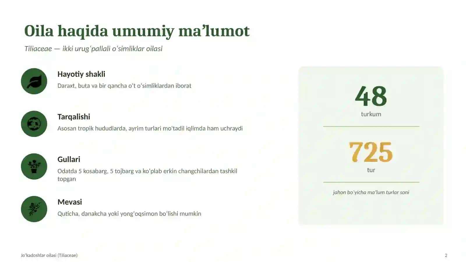 BOTANIKA VA FARMAKOGNOZIYA. Joʻkadoshlar oilasi va ularning dorivorlik xususiyatlari 2