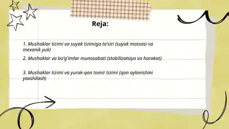 Mushaklar tizimining inson tanasining boshqa tizimlarga ta‘siri 2