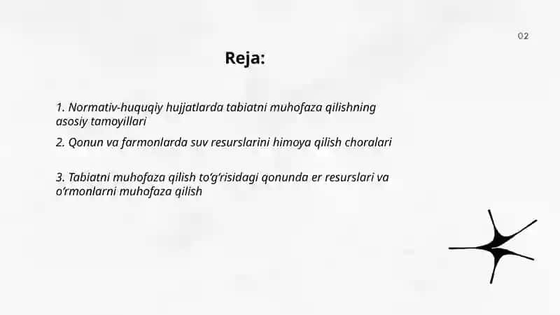 Tabiatni muhofaza qilish masalalarini me'yoriy hujjatlarda yoritilishi 2