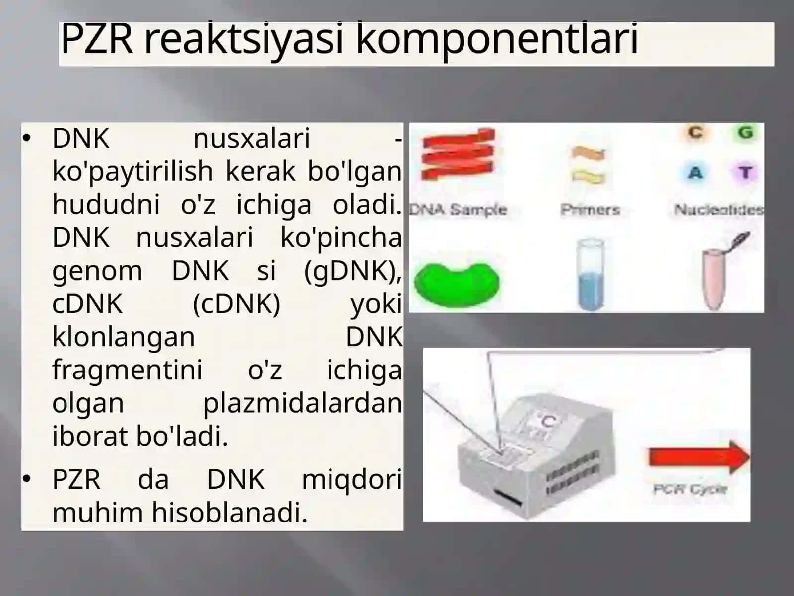 PZR reaktsiyasi komponentlari 2