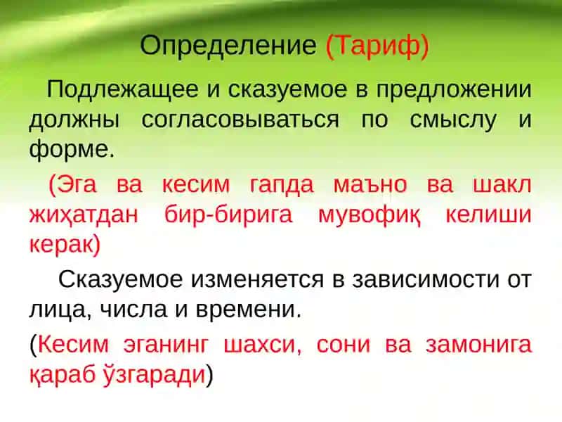 Согласование подлежащего и сказуемого 2