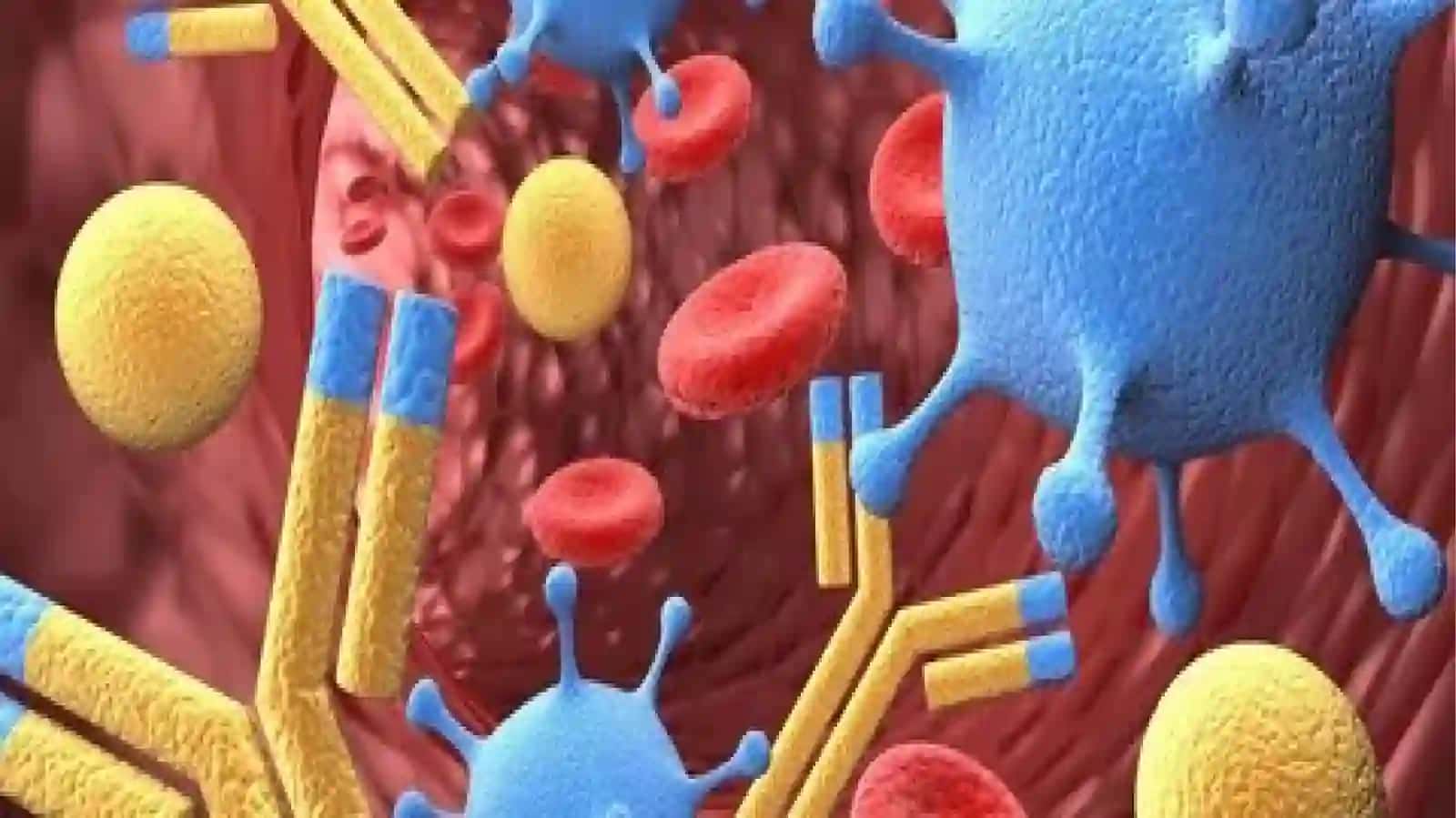 immunitet tizimi faoliyati bilan zamburug'li va parazitlar kasalliklar kelib chiqishidagi bog'liqlik 2