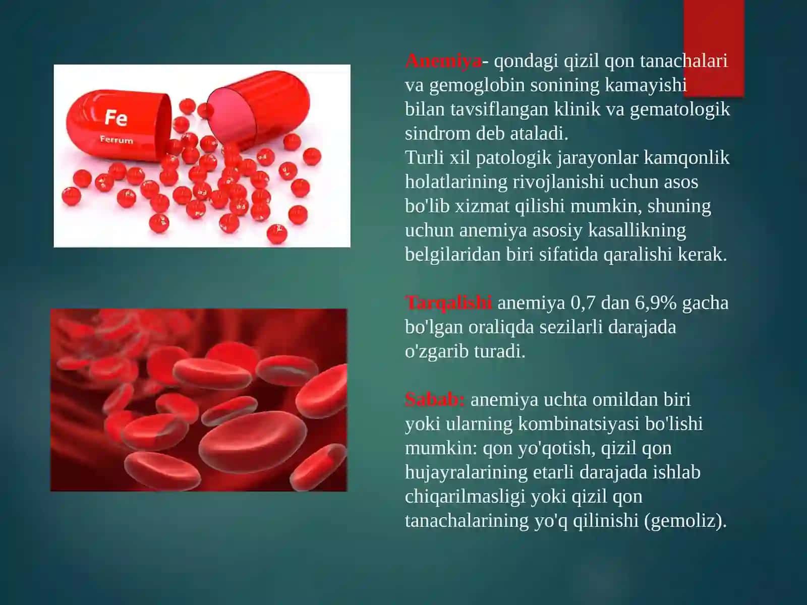 Temir tanqisligi anemiyasi 2