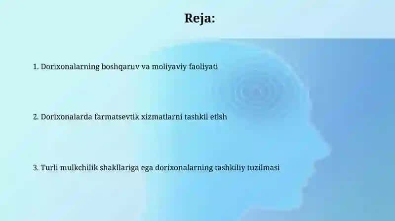 Turli Mulkchilik Shaklidagi Dorixonalar Ishini Tashkil Qilish 2