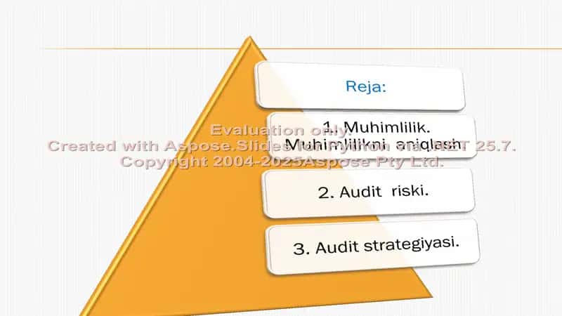 AUDITORLIK TEKSHIRUVIDA MUHIMLILIK VA RISK 2