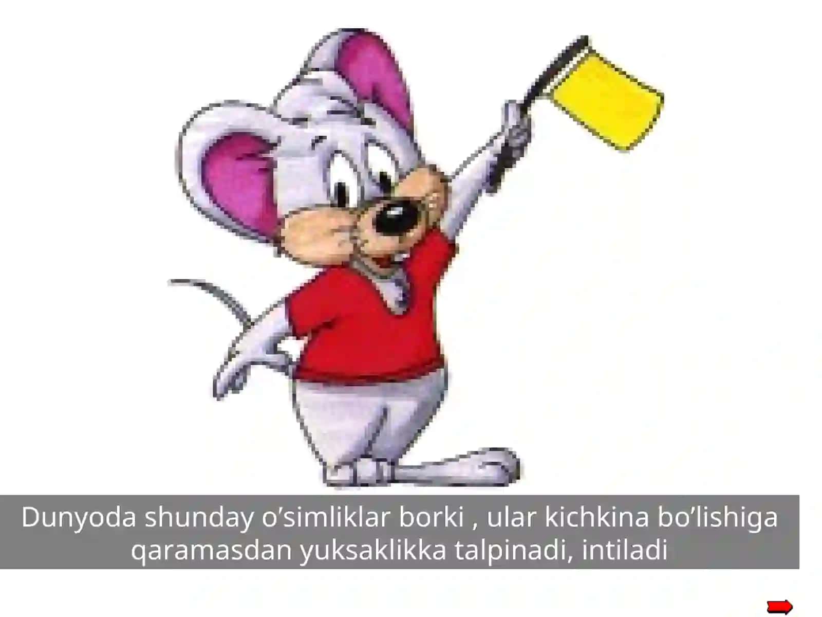 Tuban va yuksak o'simliklar 2