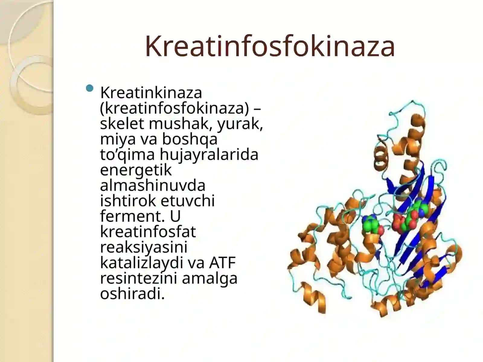 Kreqtin fosfokinaza, miopatiya, mushak 2
