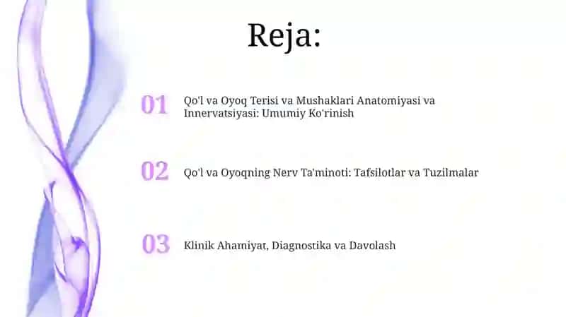 Qoʻl va oyoq terisi va mushaklari innervasiyasining anatomiyasi 2