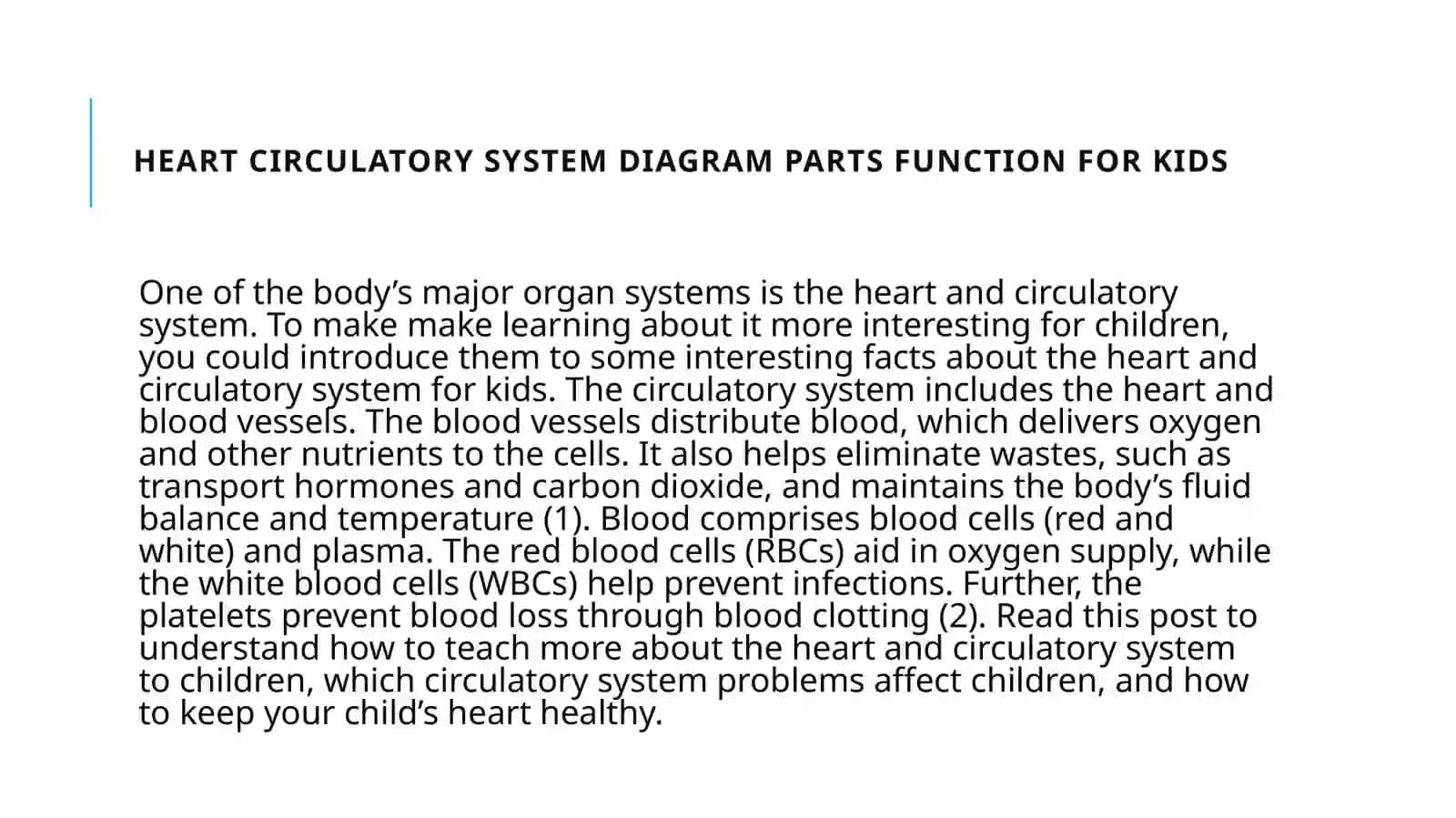 Heart and circulation 2