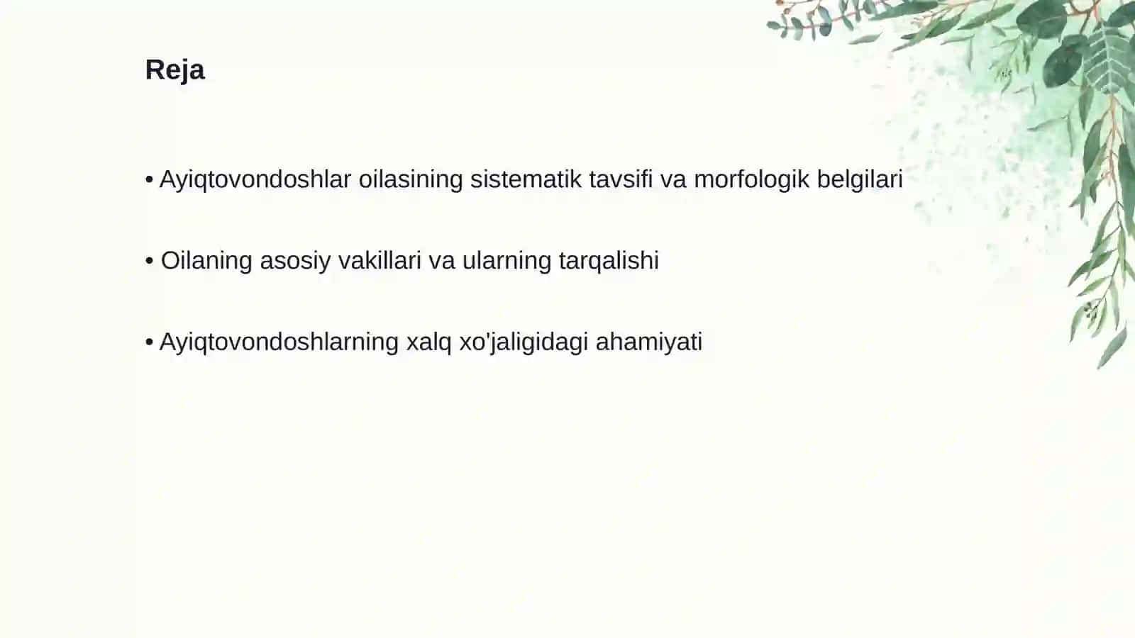 Ayiqtovondoshlar oilasining o'ziga xos belgilari va xalq xo'jaligi 2