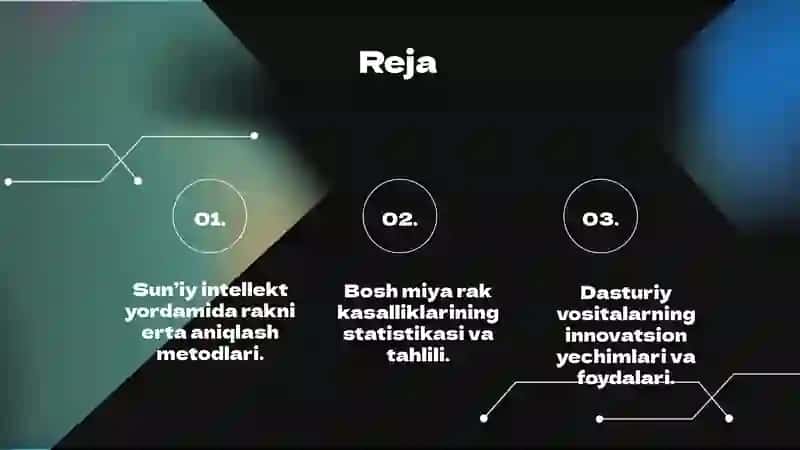 Sun’iy intellekt asosida bosh miya rak kasalligini aniqlash dasturi 2