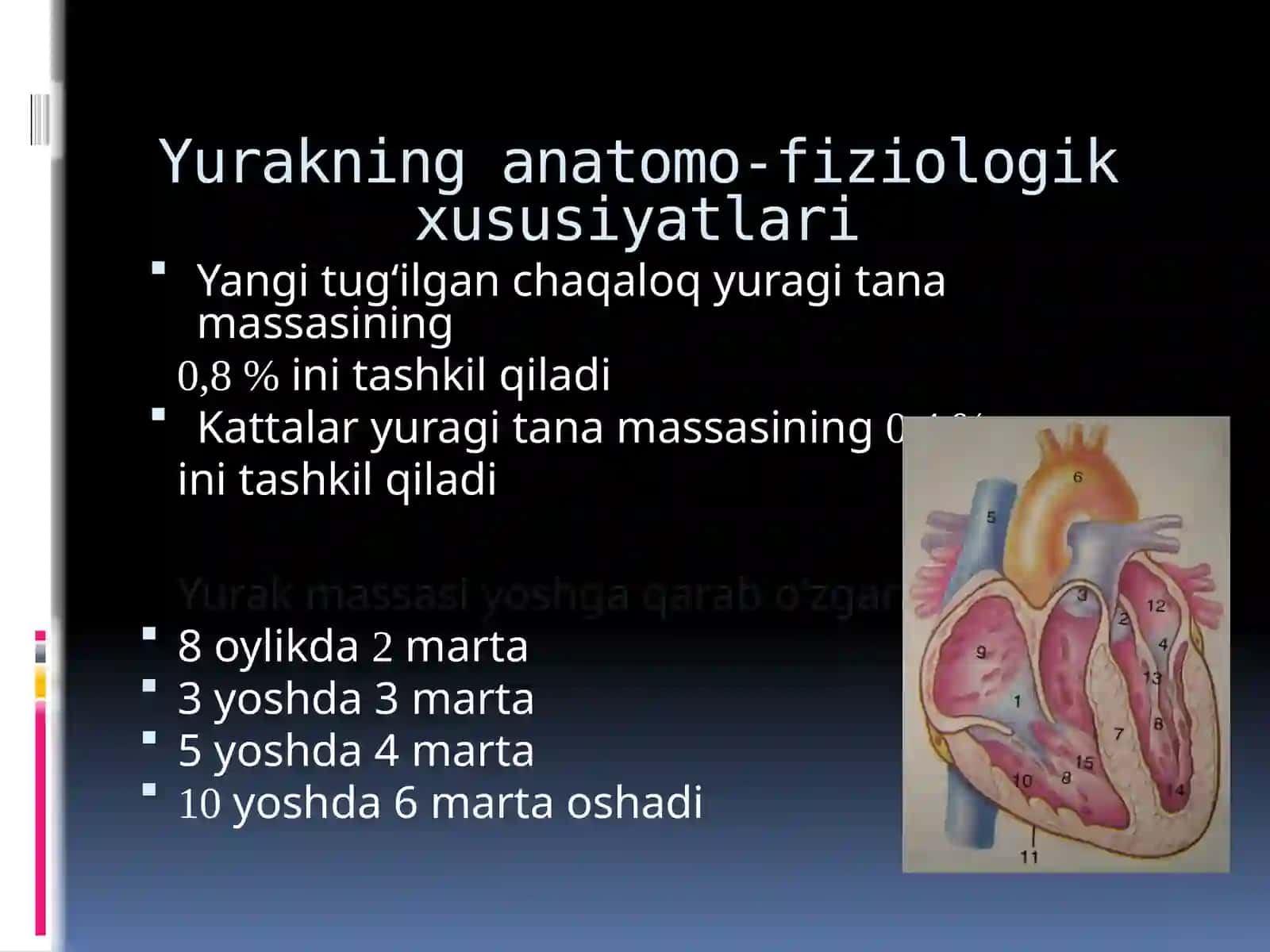 BOLALARDA YURAK-QON TOMIR TIZIMINING ANATOMO-FIZIOLOGIK XUSUSIYATLARI 2