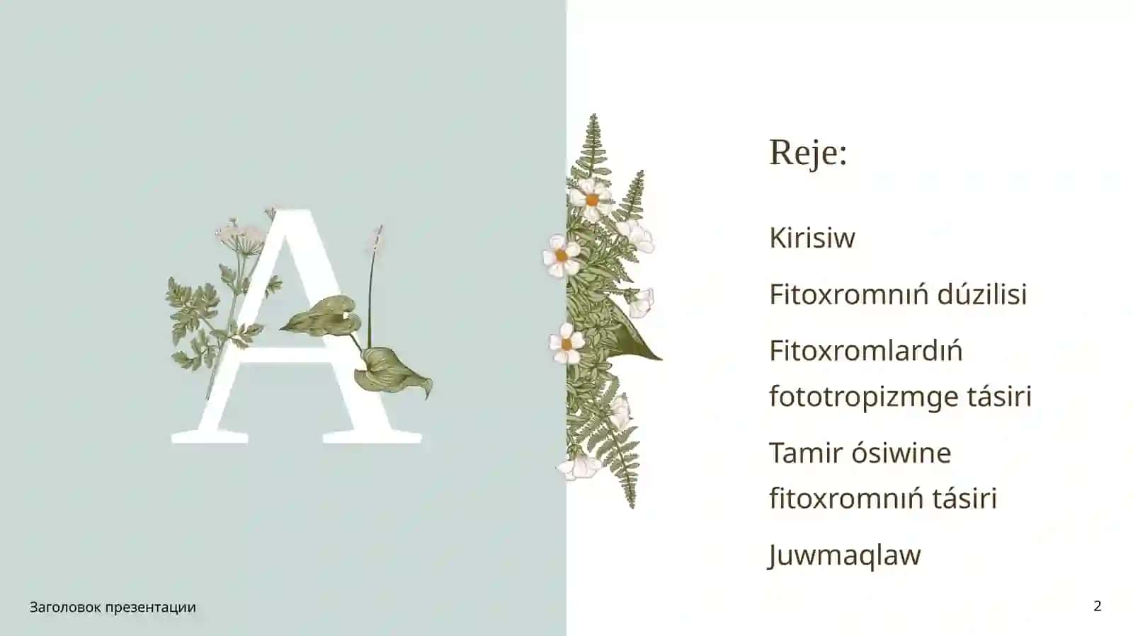 Fitoxrom sisteması jáne onıń ósimliklerdiń  ósiwi hám rawajlanıwındaǵı ornı 2