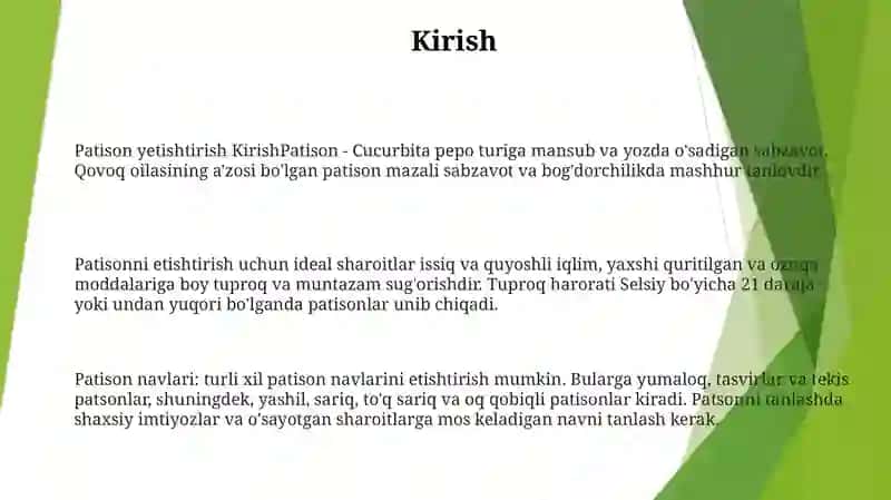 Patison Yetishtirish 2