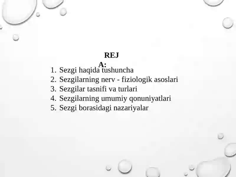 Sezgilarning nerv - fiziologik asoslari 2