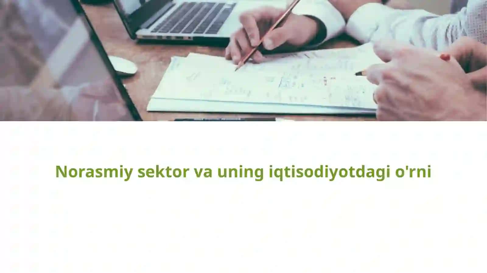 Norasmiy sektor va uning iqtisodiyotdagi roli 2