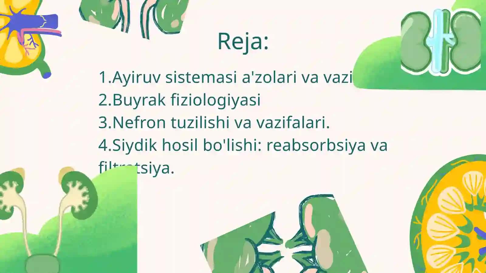 Ayiruv sistemasi.Buyraklar fiziologiyasi 2