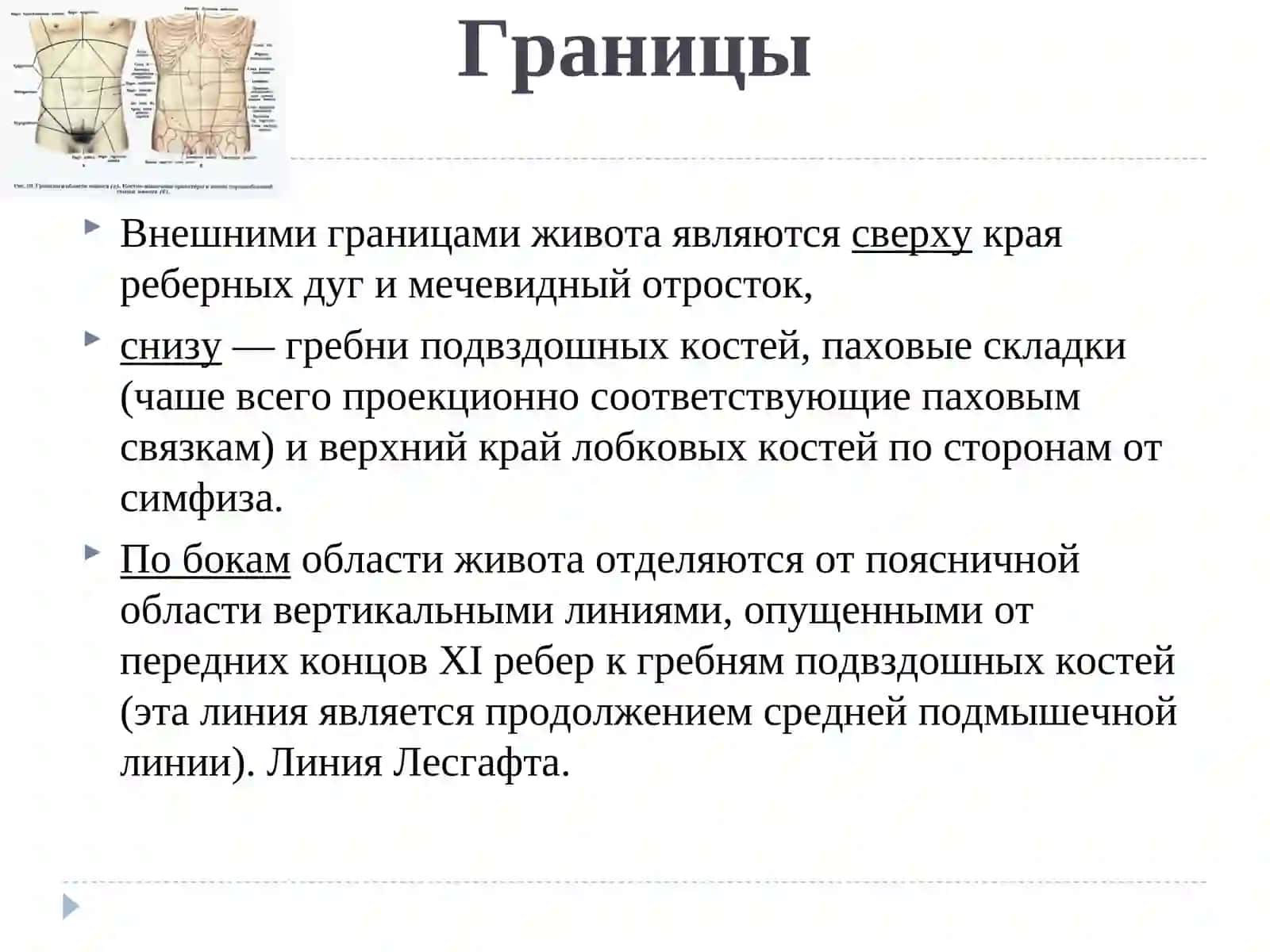 ТОПОГРАФИЧЕСКАЯ АНАТОМИЯ ВЕРХНЕГО ЭТАЖА БРЮШНОЙ ПОЛОСТИ У ДЕТЕЙ И ВЗРОСЛЫХ 2