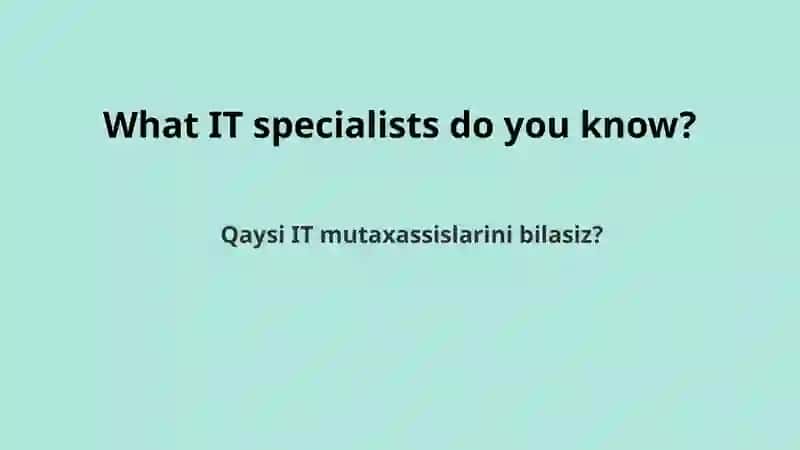 IT Professions 2