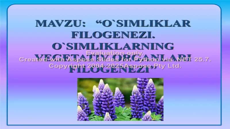 "O`SIMLIKLAR FILOGENEZI. O`SIMLIKLARNING VEGETATIV ORGANLARI FILOGENEZI" 2