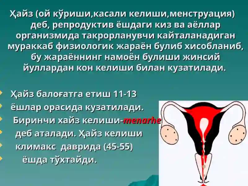 Ҳайз (ой кўриши,касали келиши,менструация) 2