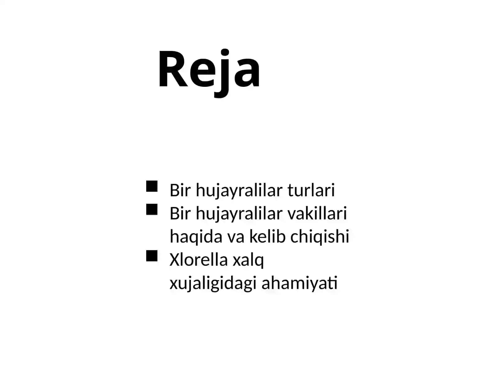 Bir Hujayralilar Turlari 2