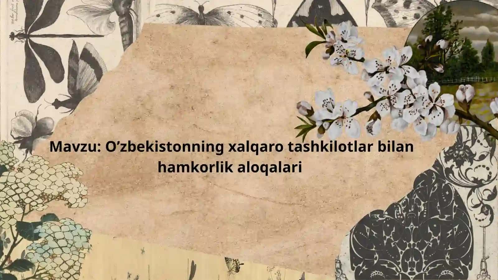 O’zbekistonning xalqaro tashkilotlar bilan hamkorlik aloqalari 2